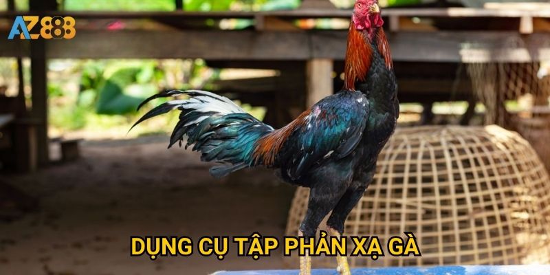 Dụng cụ tập phản xạ gà Azbet88 giúp gà chọi linh hoạt hơn thế nào?